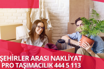 Şehirler Arası Nakliyat